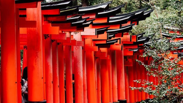 Places visit asia — illustrating The Best Places to Visit in Asia in