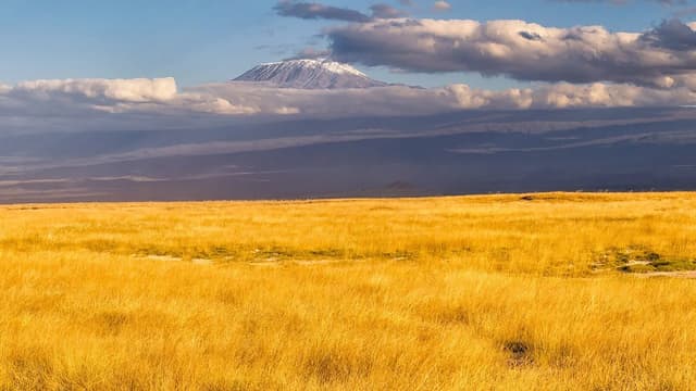 How Much Does It Cost to Climb Kilimanjaro in 2026? (Full Breakdown) — Nepal