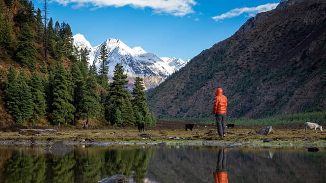 A trekker reflected in still water below forest and snow peaks in the Phoksundo area