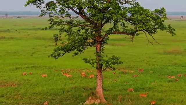 Nepal Buddhist Pilgrimage Sites 2026 — Nepal