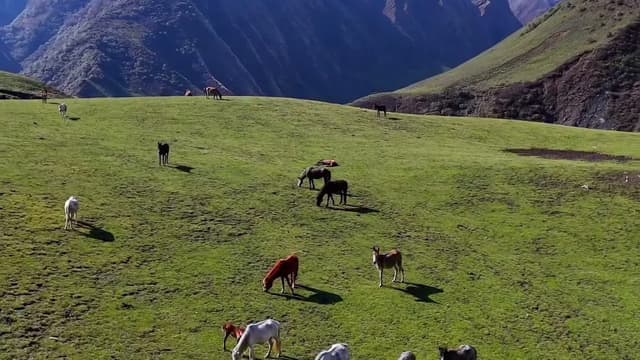 Nepal Trekking Food Guide 2026 — Nepal