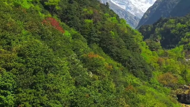 Nepal 2 — Nepal