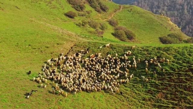 Kapuche Lake & Sikles Trek Guide 2026 — Nepal