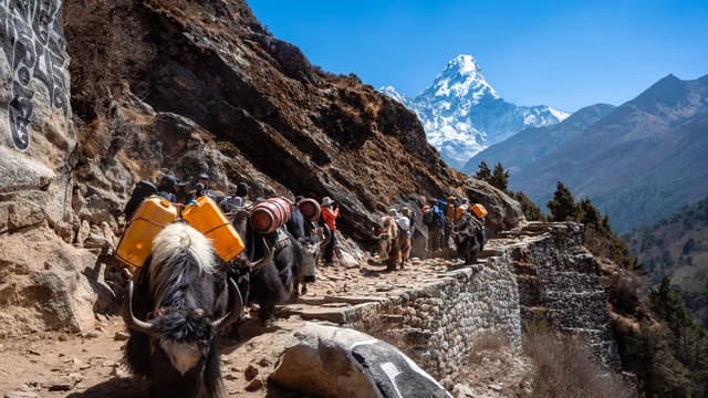 Mount Everest and Ama Dablam seen on the Everest View Trek in the Khumbu
