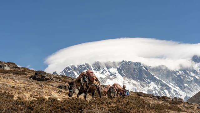Trekkers on the trail toward Everest Base Camp with Himalayan peaks behind, a bucket-list trip for Canadian travellers in 2026