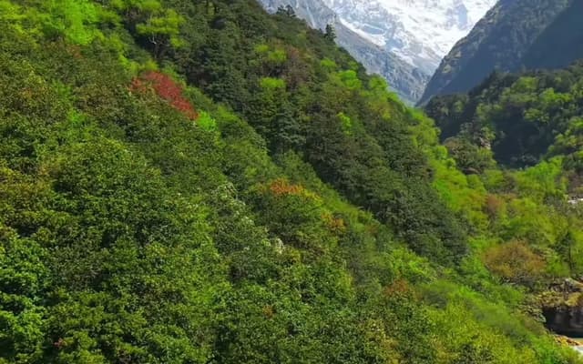 Nepal 2 — Nepal