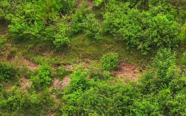 Nepal Himalaya Facts 2026 — Nepal