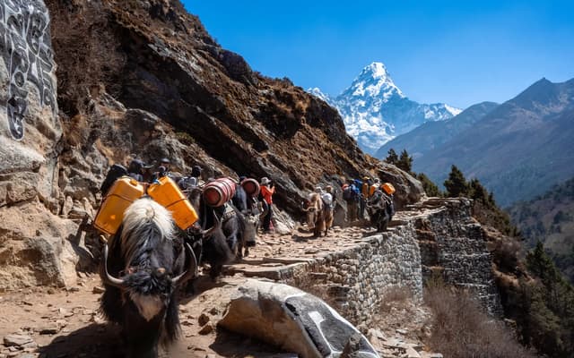 Mount Everest and Ama Dablam seen on the Everest View Trek in the Khumbu