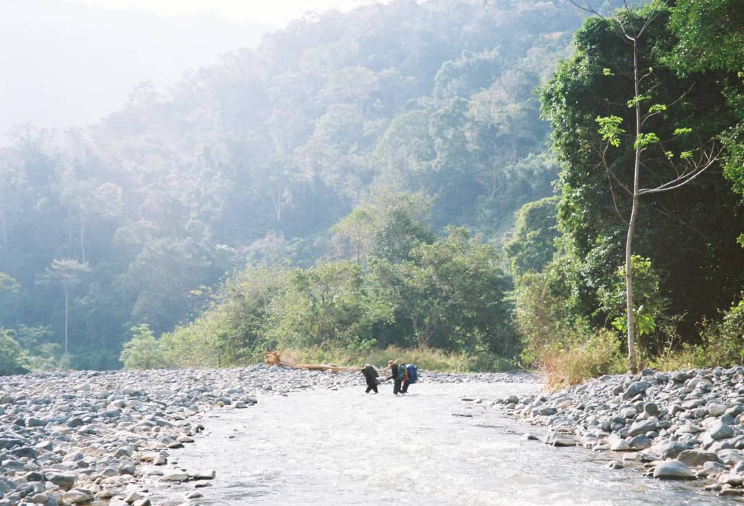 Three hikers crossing a river surrounded by dense forest in daylight