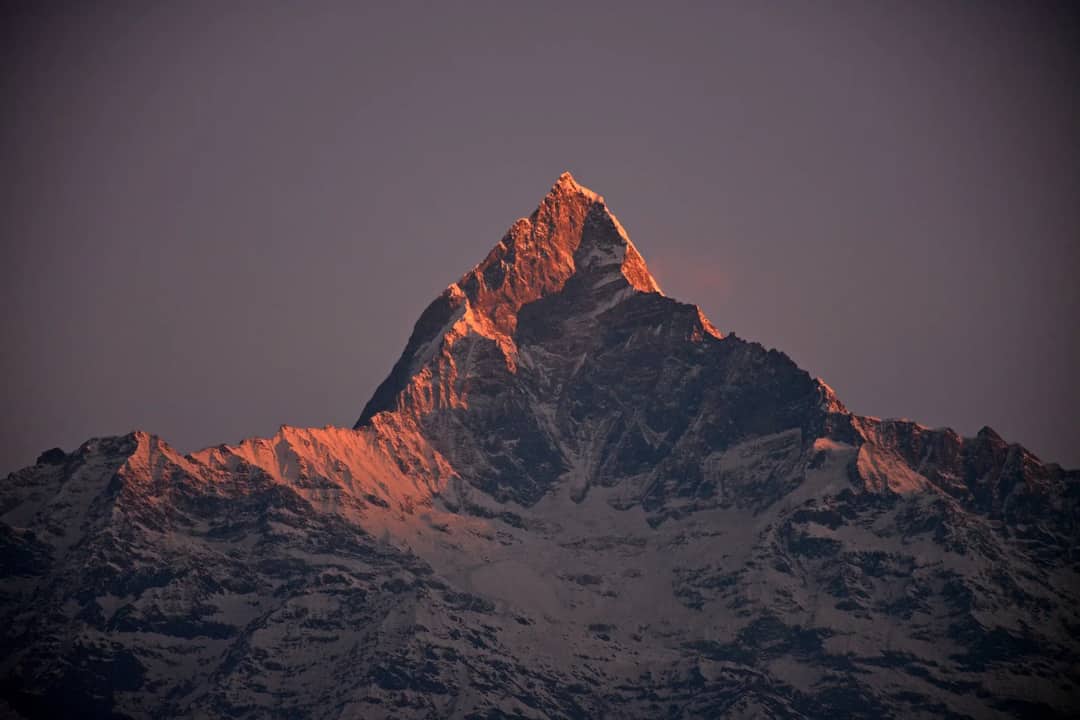 A stunning sunset captures the snow-covered Machapuchare Peak in the Annapurna range, Nepal.