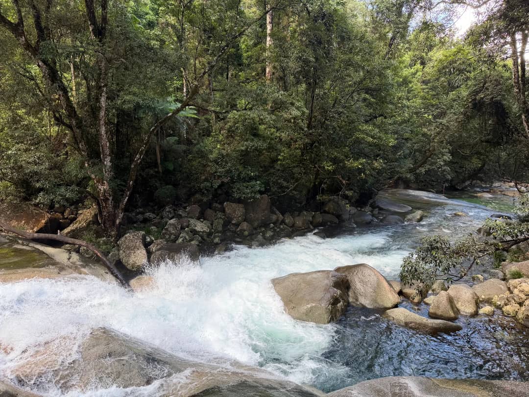 Capture of a cascading stream in Daintree National Park's lush rainforest, abundant with greenery.