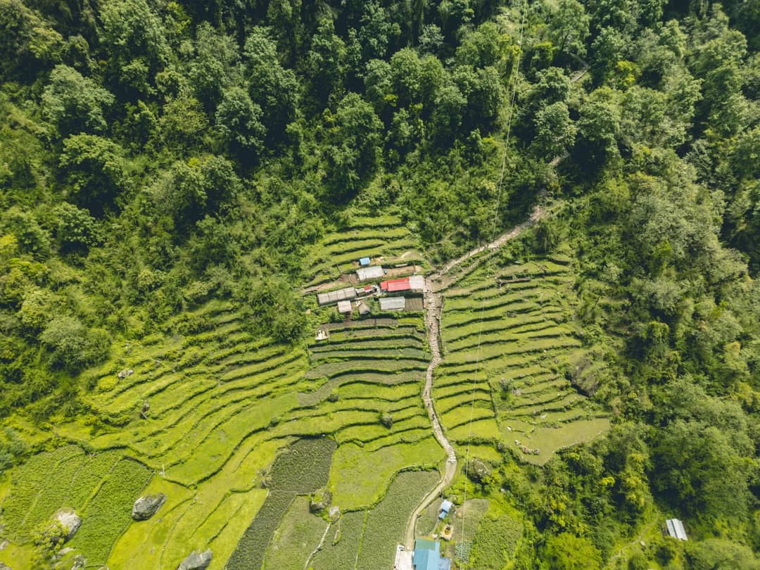 Explore the serene terraced fields in Ghandruk, Nepal from above, showcasing natural beauty and agricultural landscapes.