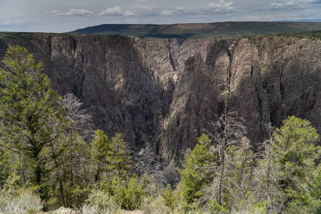 Stunning view of steep canyon walls and lush greenery in Black Canyon, Colorado.