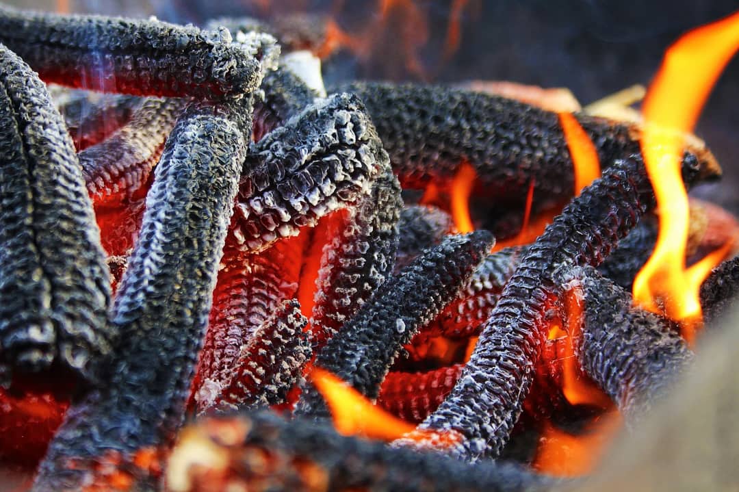 Snow Rumer Soot Is Darkening Himalayan Snow and Speeding Its Melt, 2026 Science ...