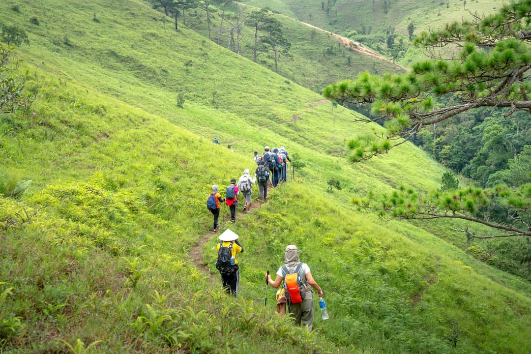 Back view of anonymous people hiking on pathway between green grass near pines rarely growing on slopes of hills during vacation