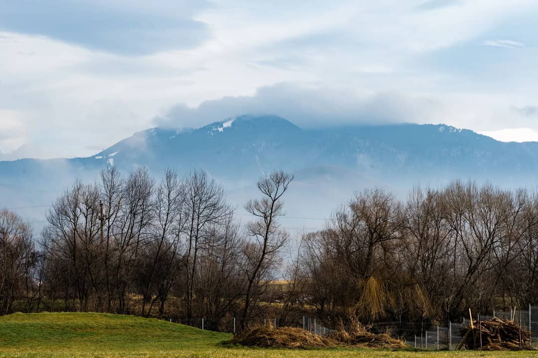 A peaceful mountain scene with misty clouds and bare trees in early spring.
