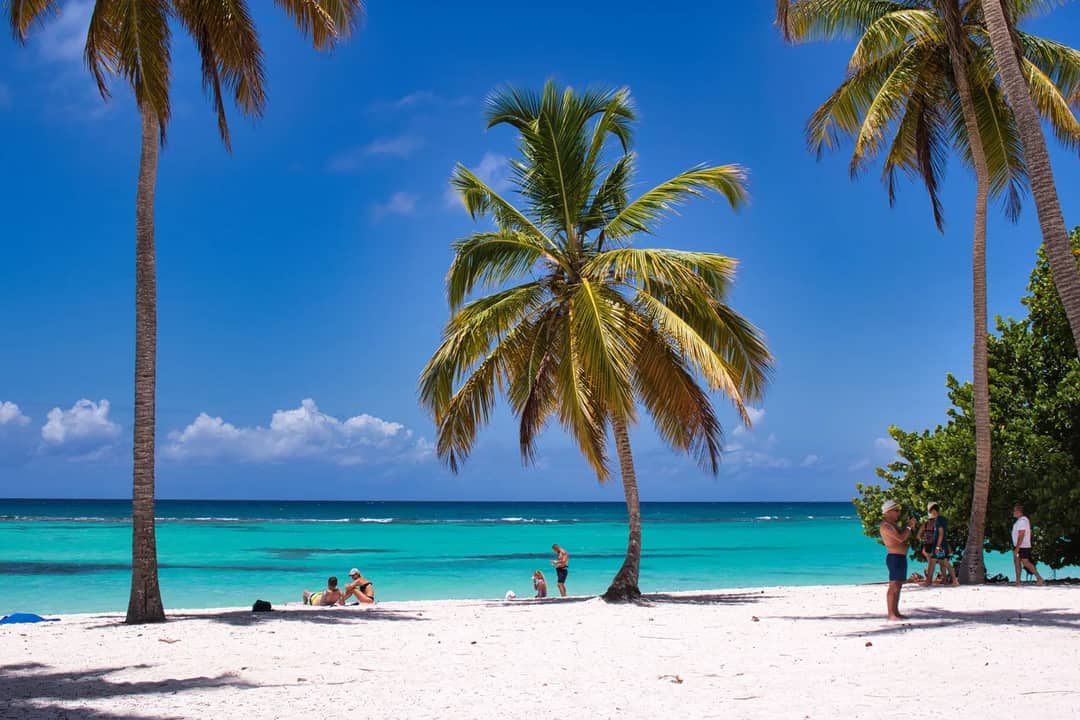 A serene tropical beach scene with palm trees, azure waters, and people relaxing under the sun.