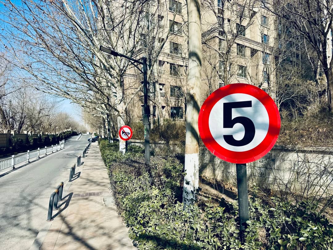 Street scene featuring a speed limit sign of 5 with winter barren trees lining the road.