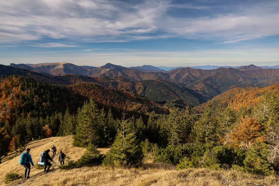 Group of hikers enjoying the beautiful autumn landscape in the mountains.
