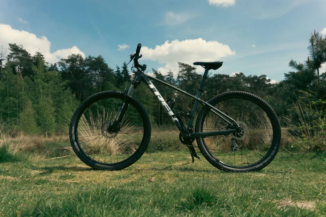 A mountain bike rests in a scenic forest clearing under a clear summer sky.