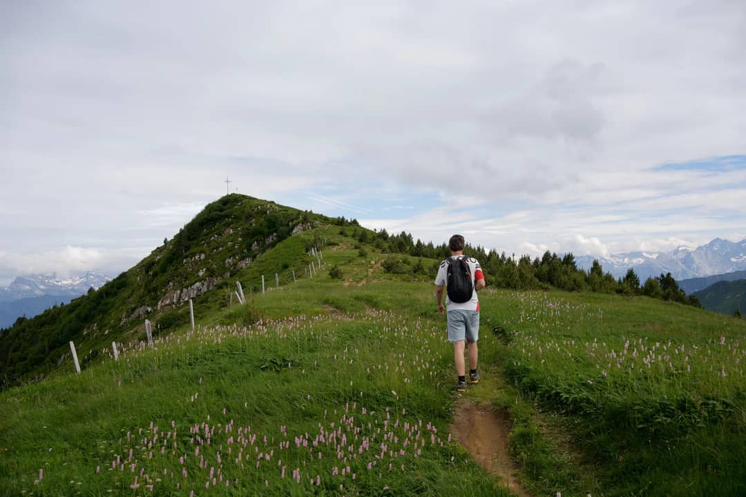 A lone hiker explores a picturesque mountain trail surrounded by lush greenery and wildflowers.