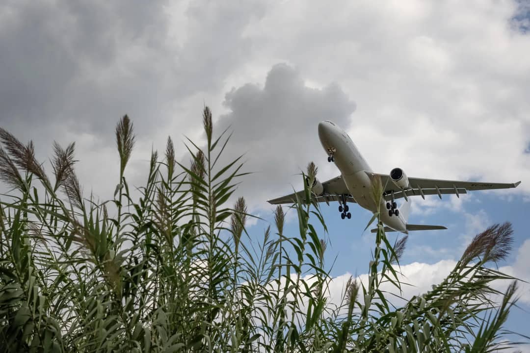 Jet plane descends over lush greenery under a cloudy sky in Barcelona, Spain.