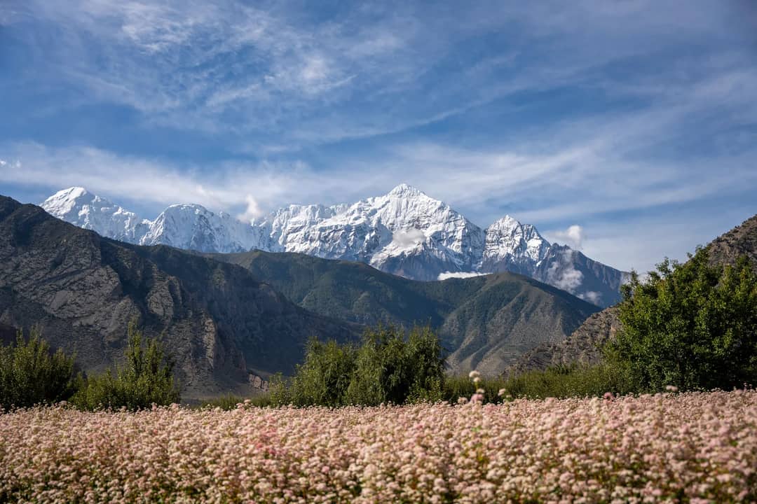 Beautiful view of the snow-capped Himalayas over a lush floral valley in Gandaki Province, Nepal.