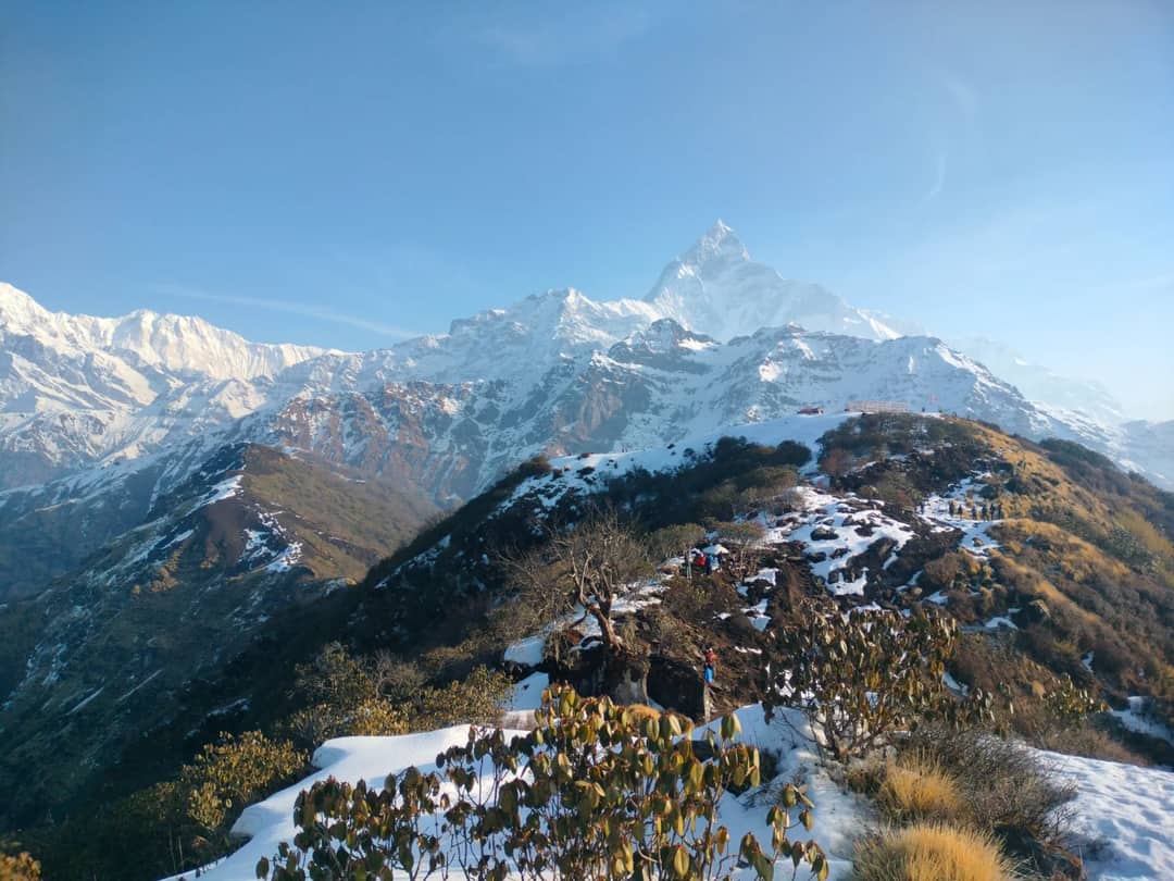 Discover the serene beauty of snow-capped mountains and lush greenery under a clear blue sky.