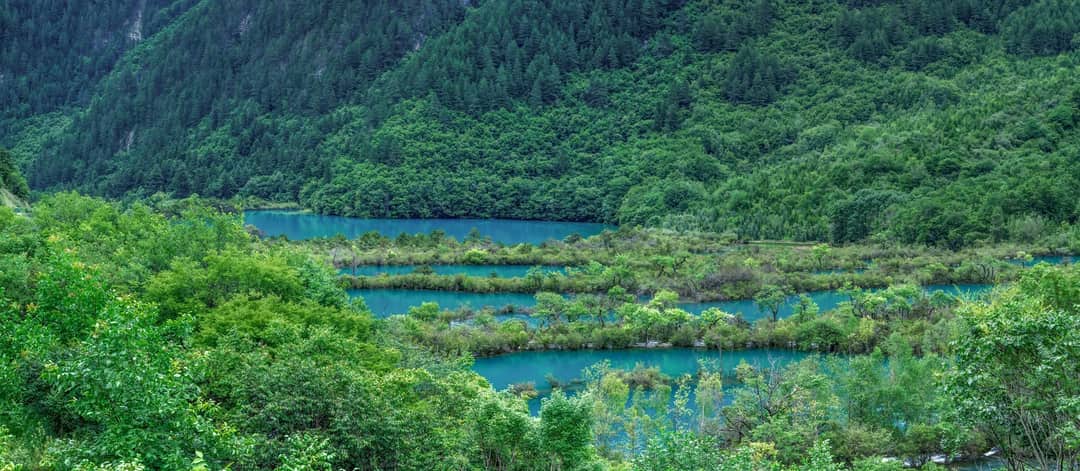 Lush greenery surrounding vibrant turquoise lakes in Jiuzhaigou Valley, China.