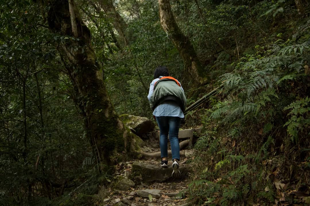 A woman hiking through a scenic forest trail in Taiwan, surrounded by lush greenery.