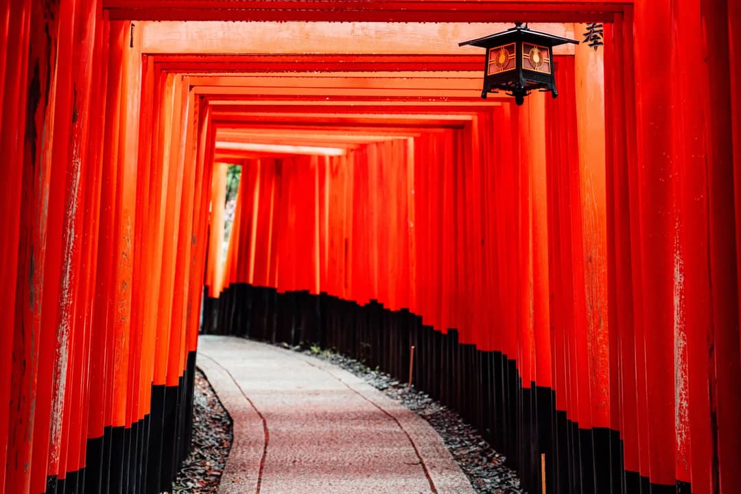 A tunnel of vermilion torii gates at a Shinto shrine in Japan