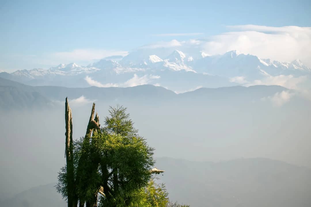 A breathtaking view of Kanchenjunga mountains from Darjeeling, India, with lush greenery and clear skies.