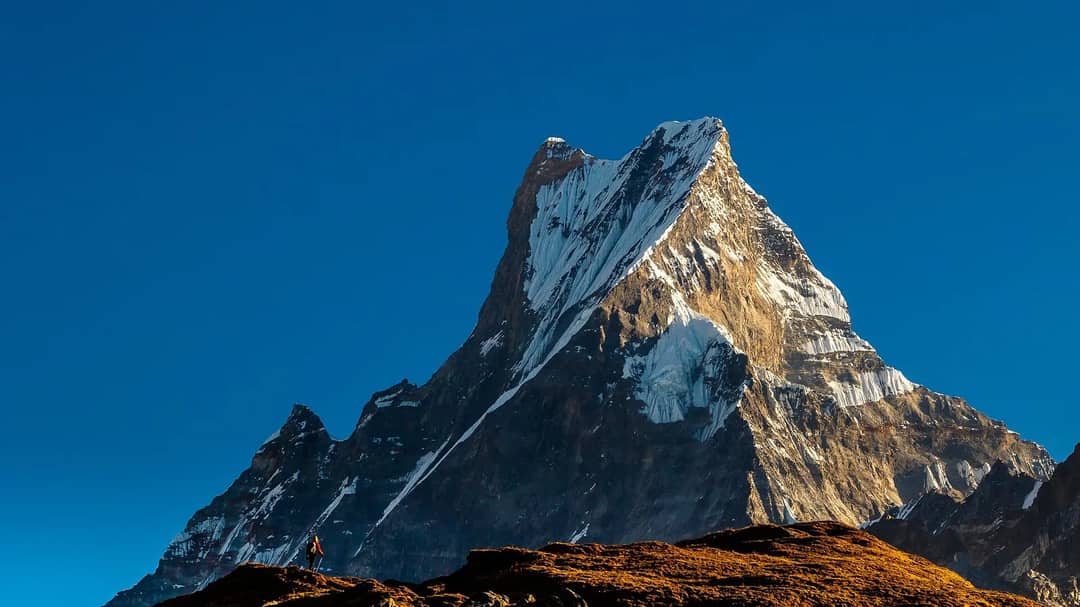 The summit pyramid of Machapuchare against a clear blue sky, with a lone trekker on the ridge below