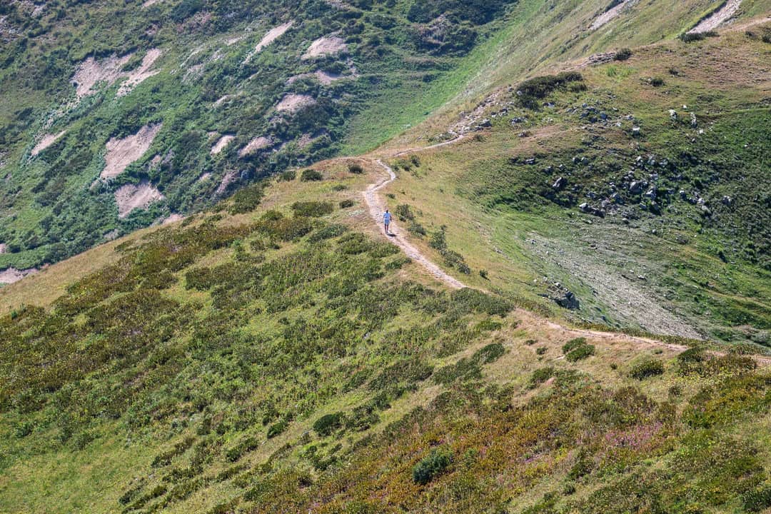 Hiker exploring a vibrant grassy mountain trail in Гагра on a sunny day.