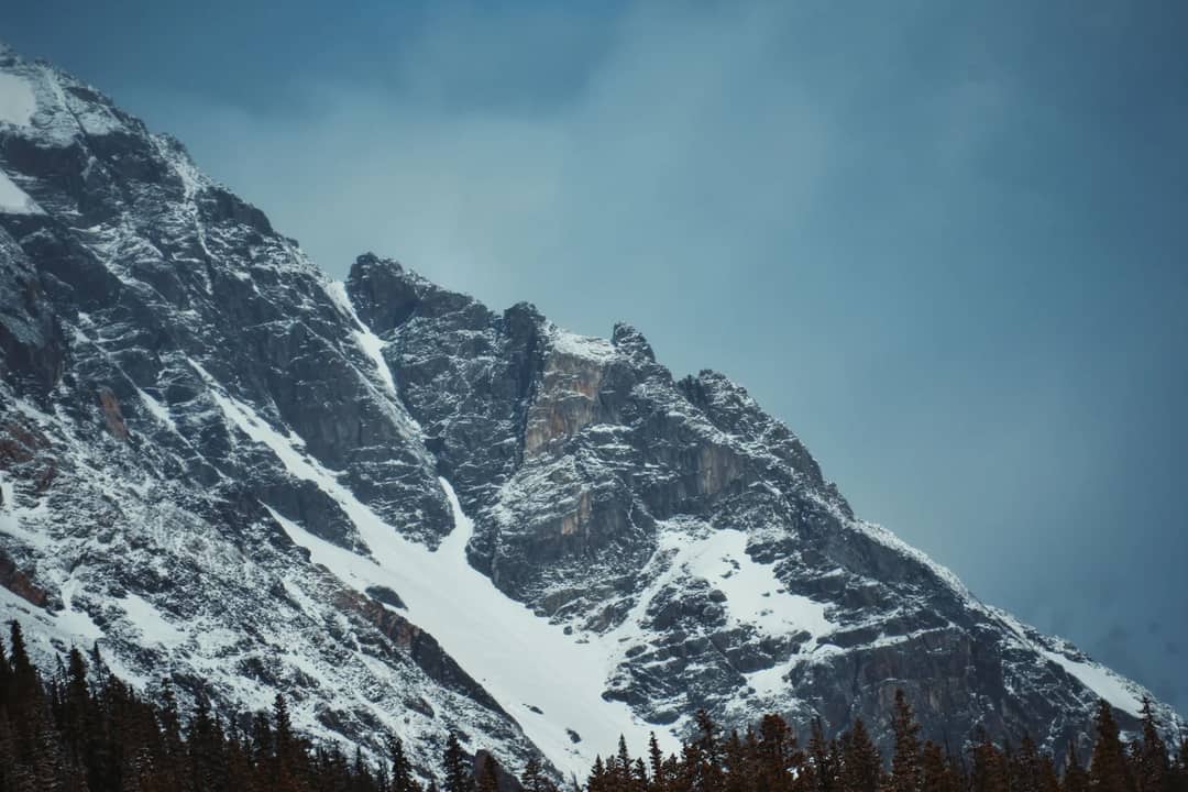 A steep slope of fresh snow on a mountain face