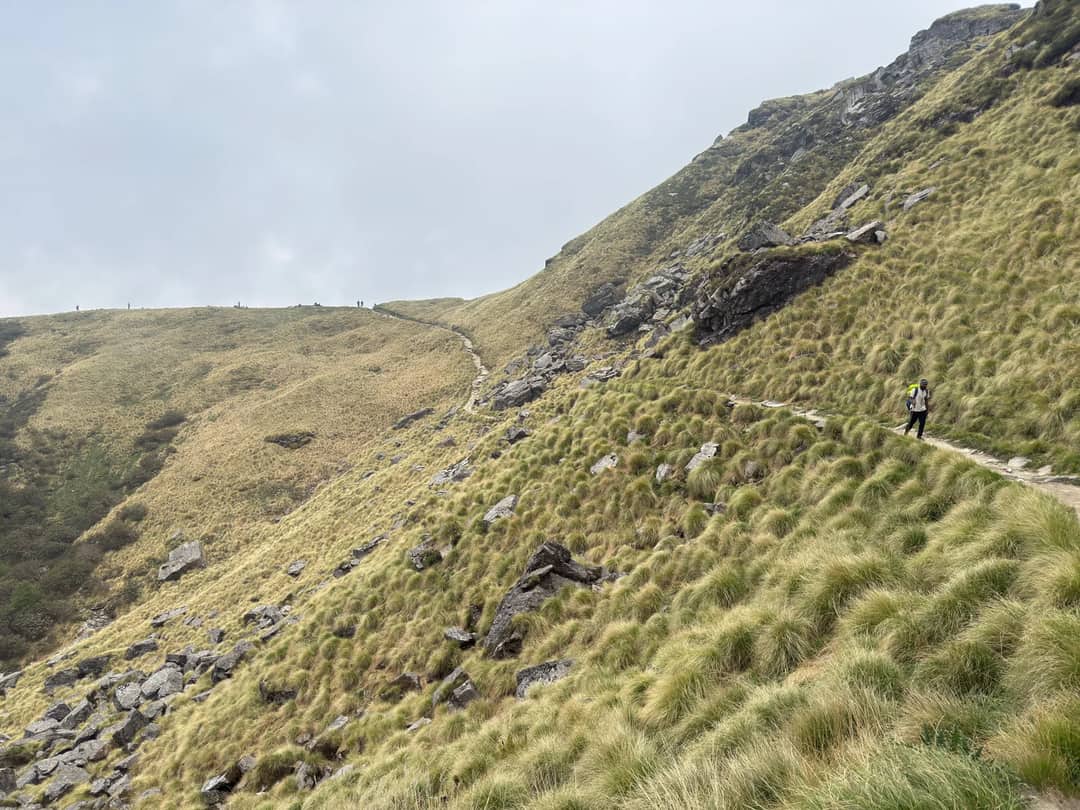 A lone hiker traverses the rugged grasslands of Rudra Nath, Uttarakhand, India.