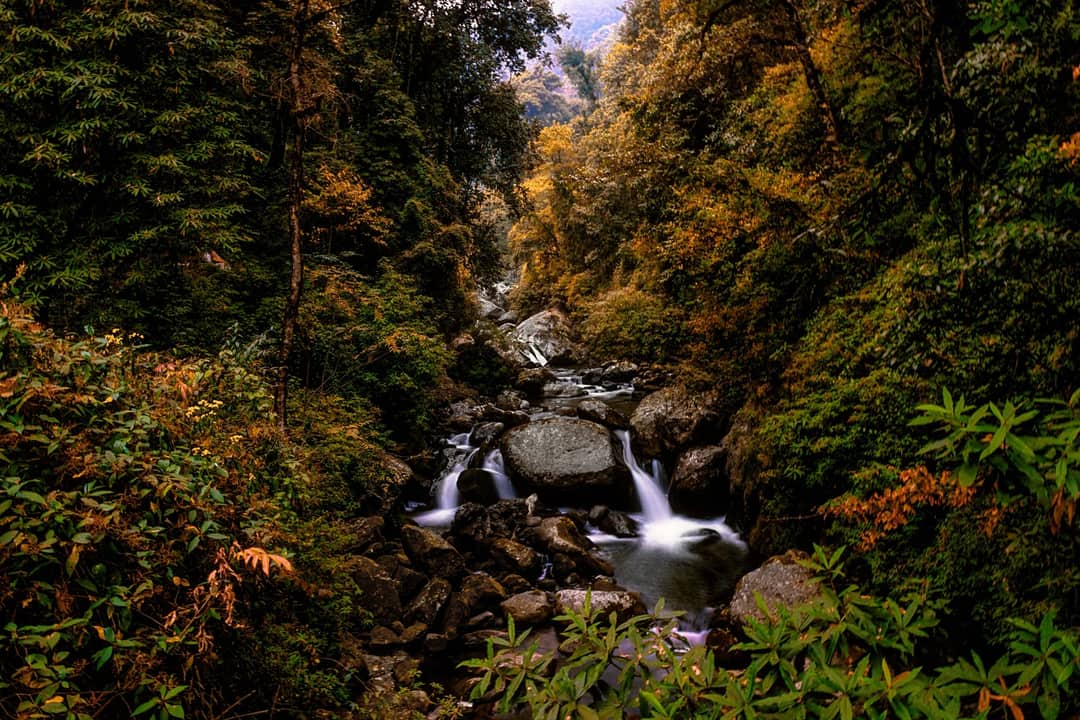 A mountain stream falling through forest in the hills of Nepal