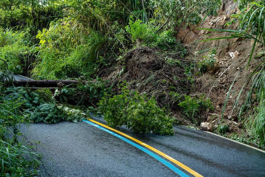Road blocked by a landslide with fallen trees and debris, showing natural disaster impact.