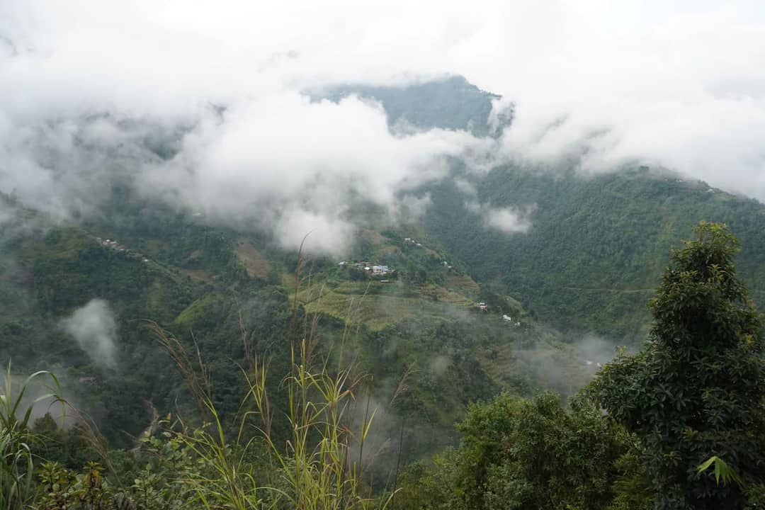 Explore the lush and mist-covered mountains of Nepal, showcasing serene natural beauty.