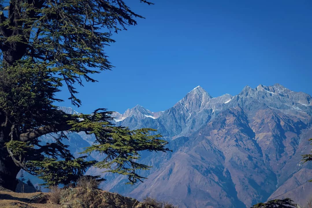 A trekking trail in the Nepali mountains