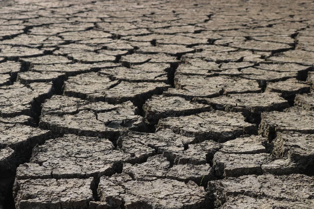 Cracked, dry ground in a drought