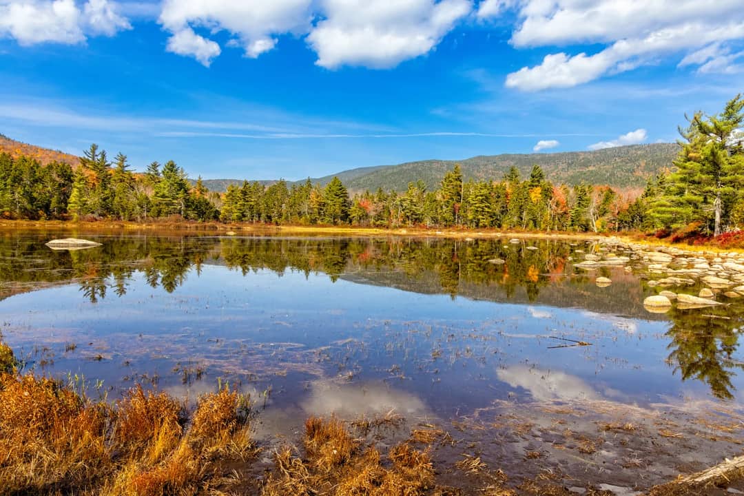 Trees around a still lake, only starting to turn