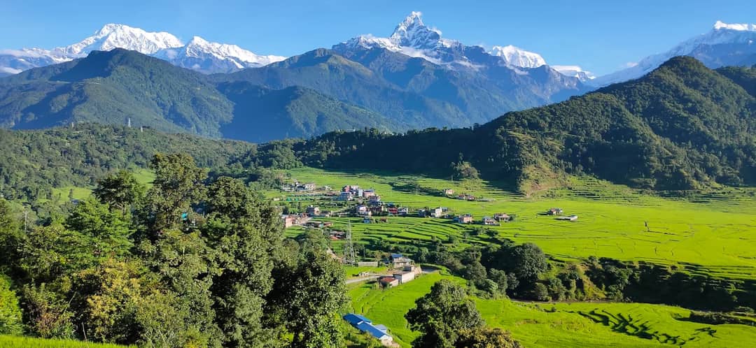 a scenic view of a green valley with mountains in the background