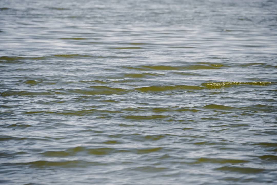 Sunlight on the surface of a clear lake