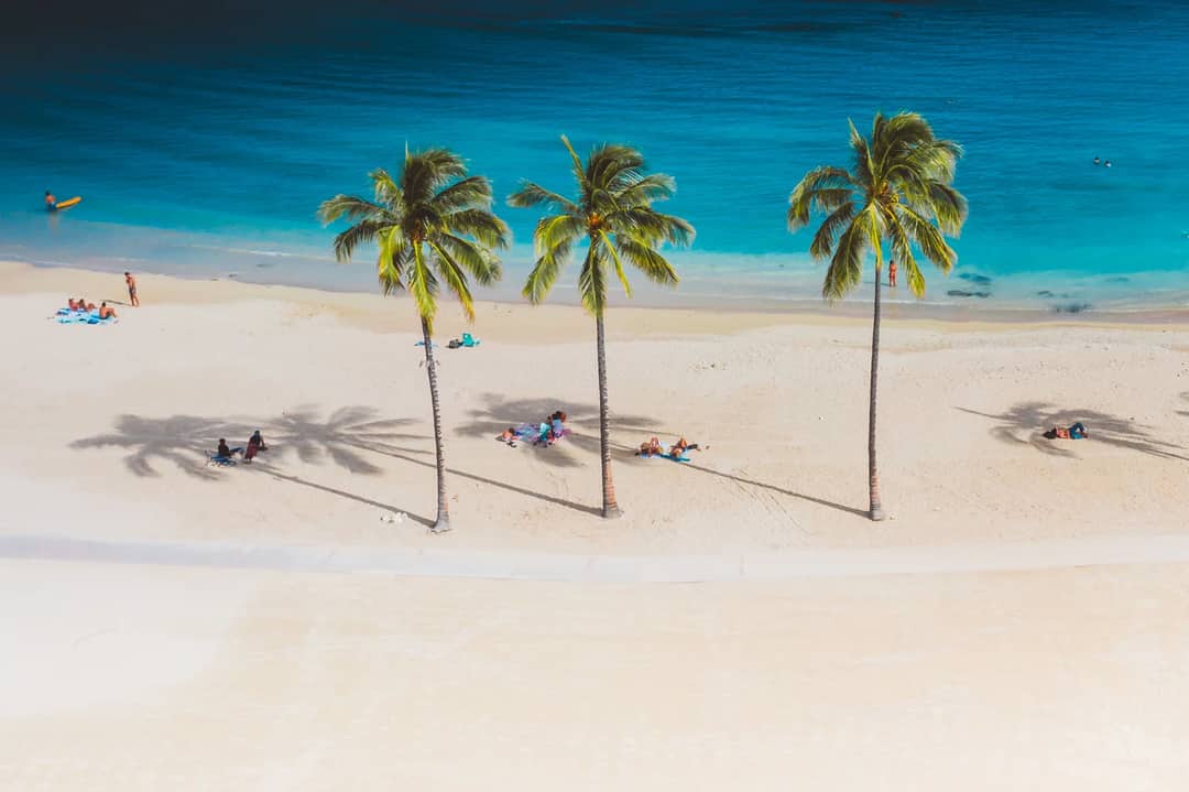 A stunning aerial view of a tropical beach featuring palm trees and azure waters under a clear sky.