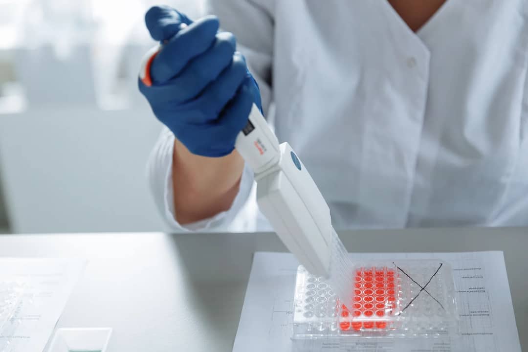 DNA testing in a laboratory