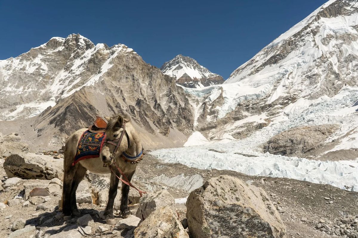 He Walked 2,000 Kilometres From the Indian Ocean to the Top of Everest — With No Vehicle, Ever