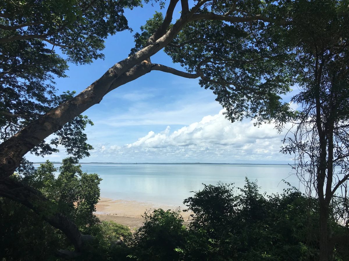 Calm Darwin beach framed by trees under a bright sky
