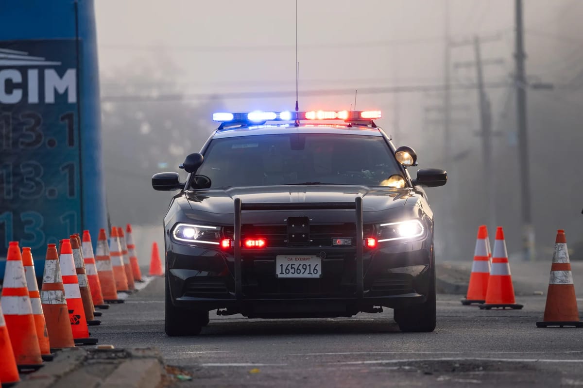 A police car with lights on at a roadside checkpoint lined with traffic cones