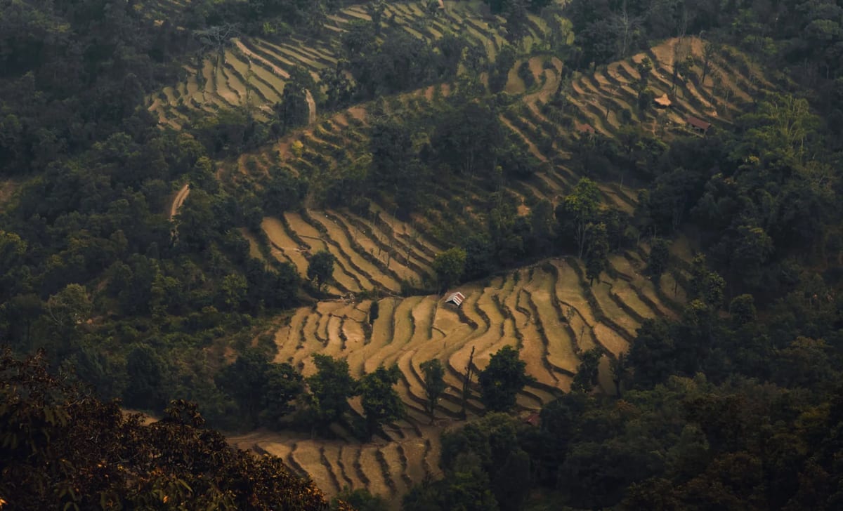 Terraced fields near Pokhara